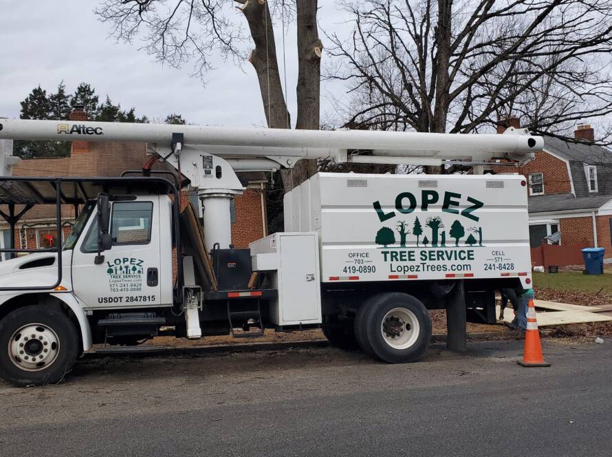 featured-image-arlington-va