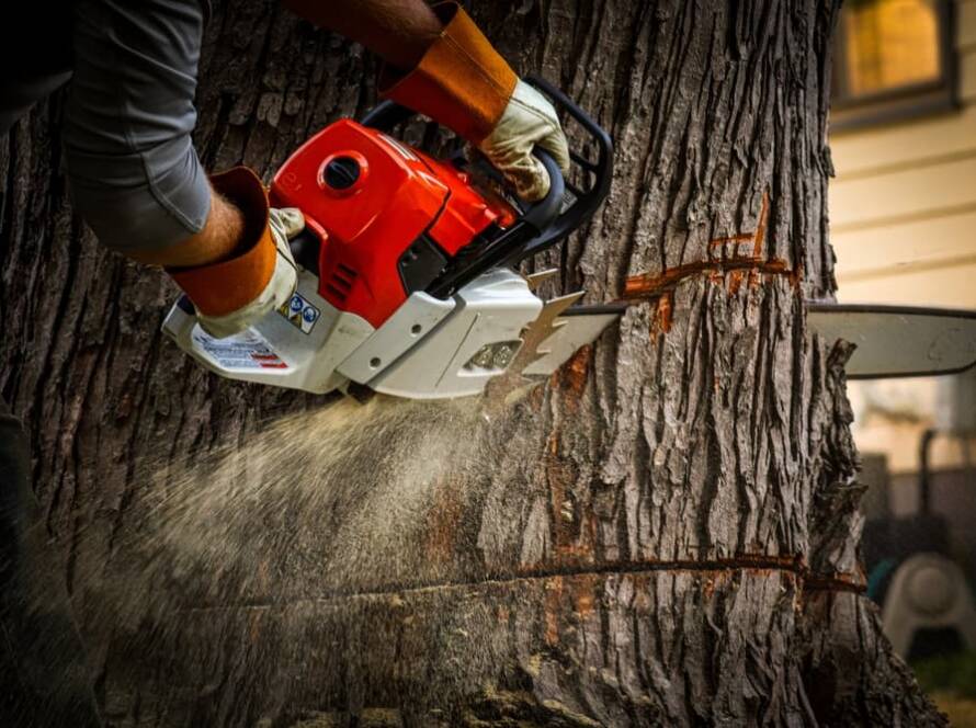 man-removing-tree-stump-with-chainsaw