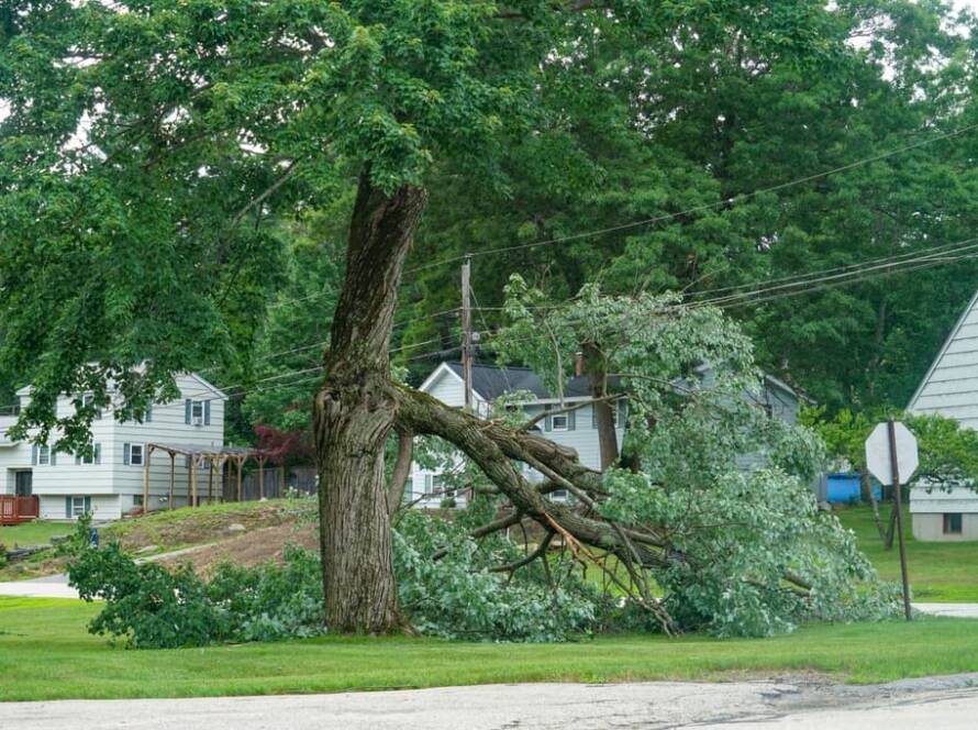 Emergency tree service removing storm-damaged tree