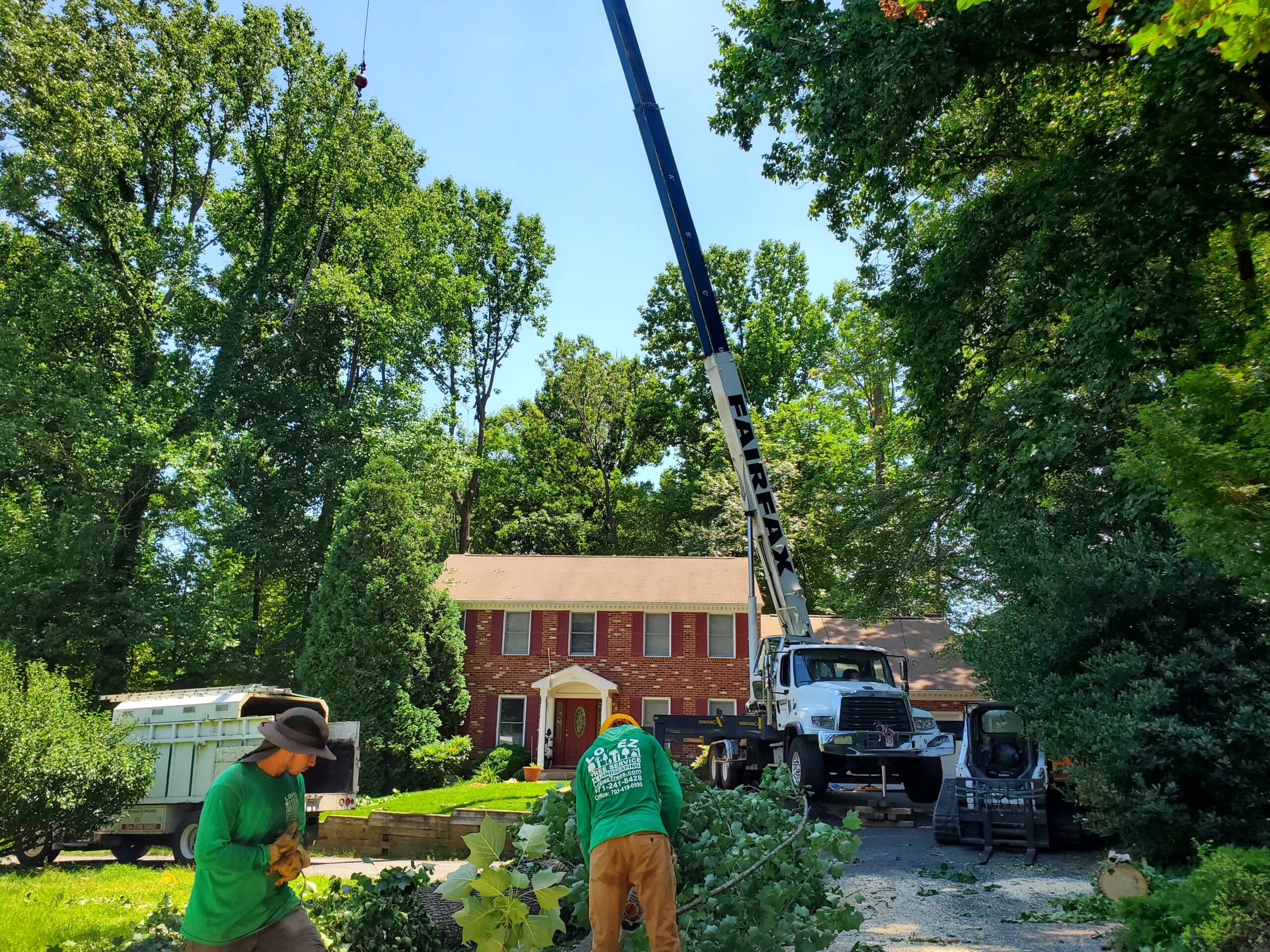Tree Services in Fairfax Station, VA