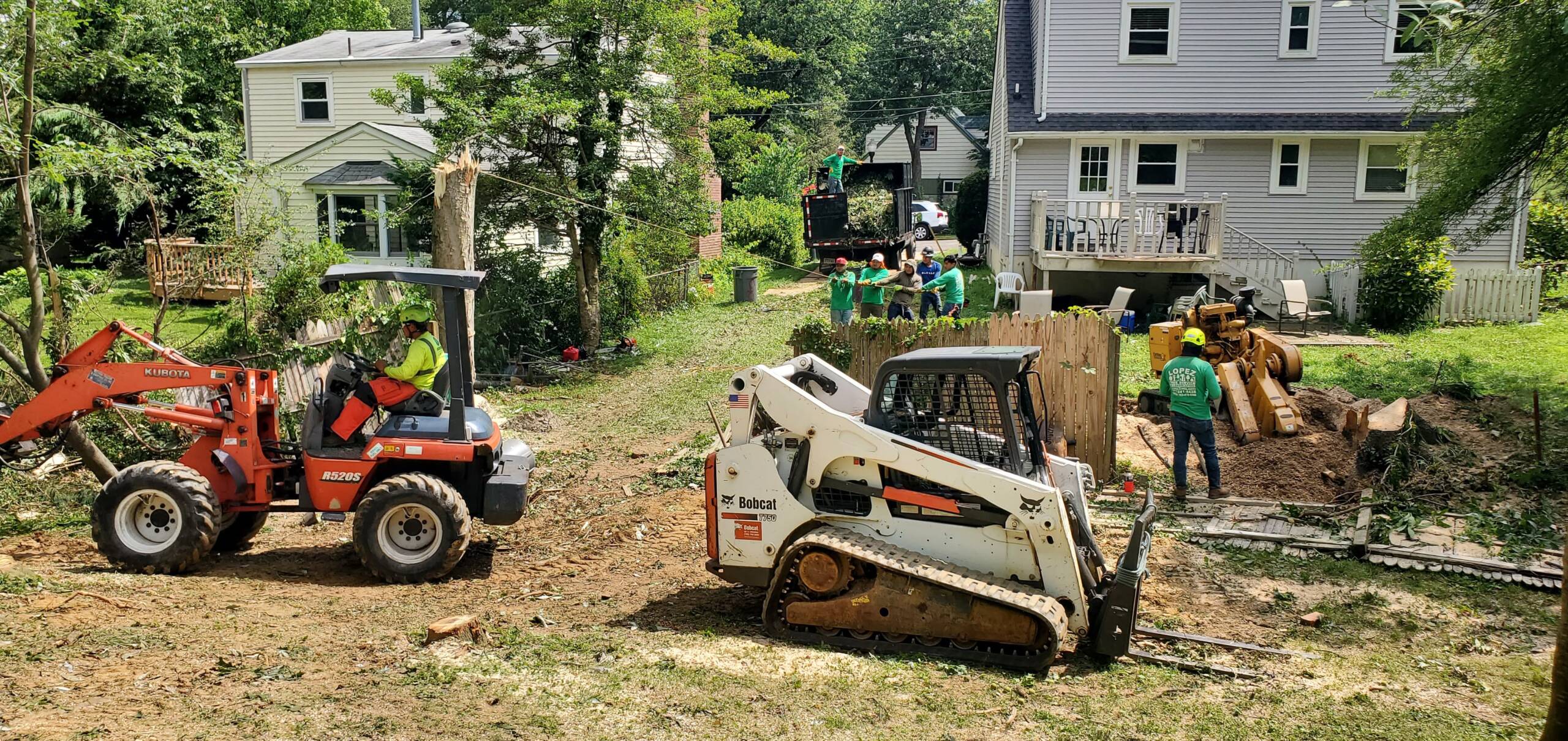 Professional Tree Services in Herndon, VA