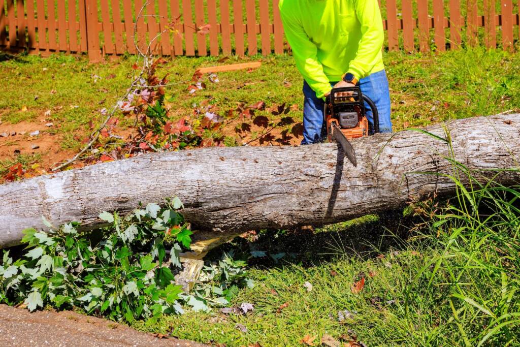 Worker Removin Tree From Home With A Chainsaw