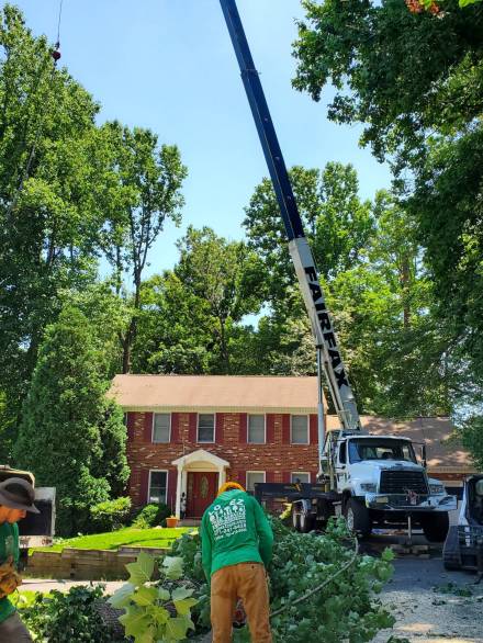 20200629_135140 (1) (1)