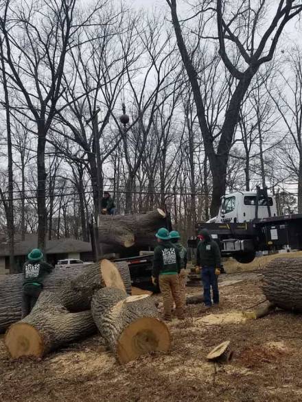 49938677_606798153110960_6223064001635418112_n