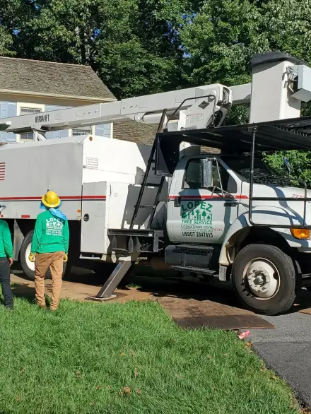 lopez-tree-services-workers-in-a-house-ready-to-work