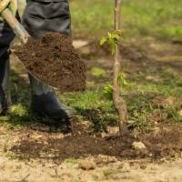 shutterstock_2167312623