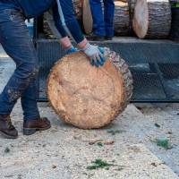 shutterstock_2620239269